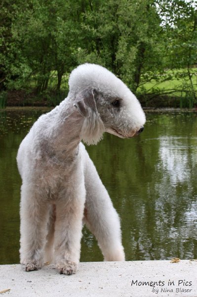 2010-05-01 Svet und Aveline (10).JPG